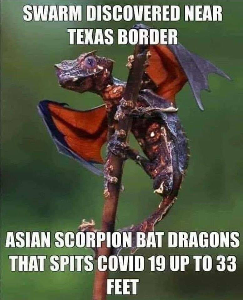 148BF114-AE4E-409E-82F1-000F9281C2C5.jpeg