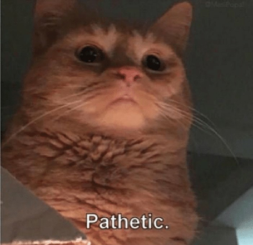 1589426615138.png