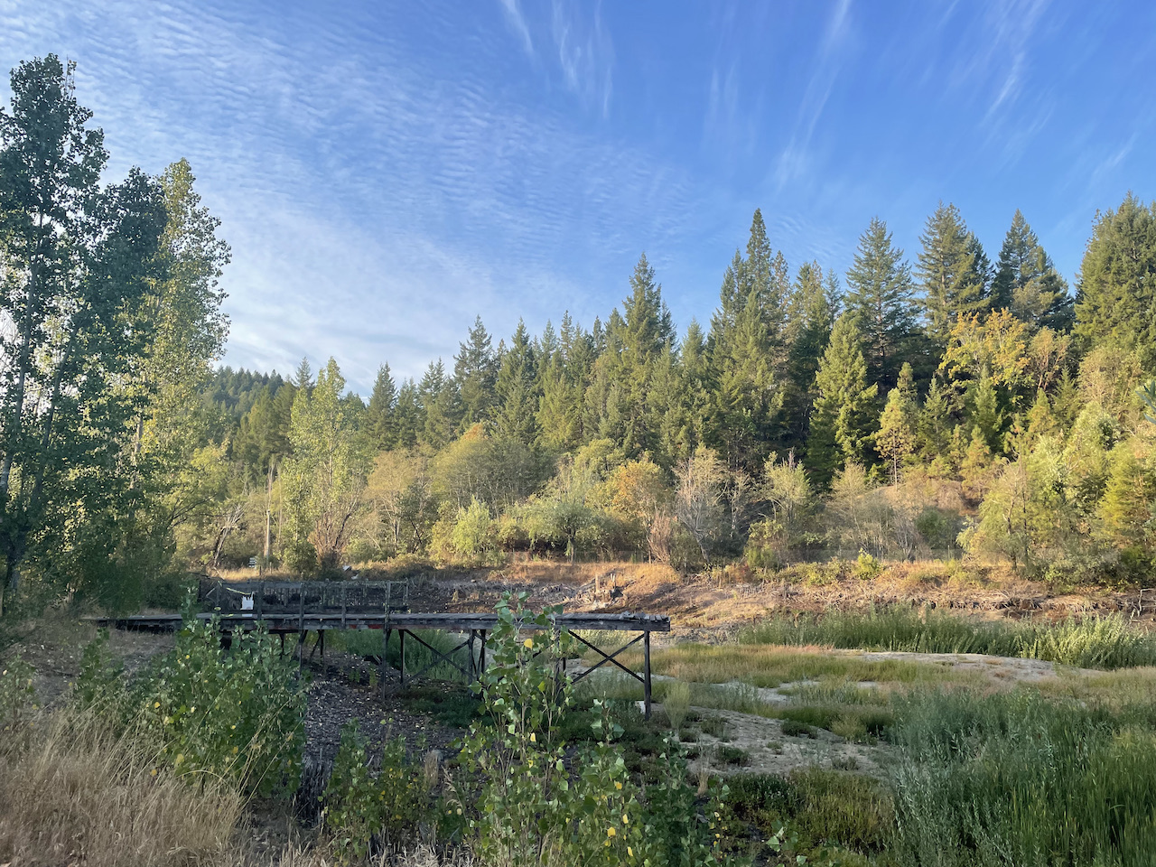 65315145921__5282B180-1D21-473A-9FCA-41EA97E97917.fullsizerender.jpeg