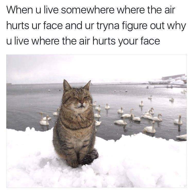 FB_IMG_1575052220132.jpg