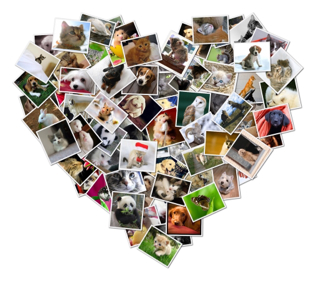 ImageUploadedByTapatalk1414331459.024476.jpg