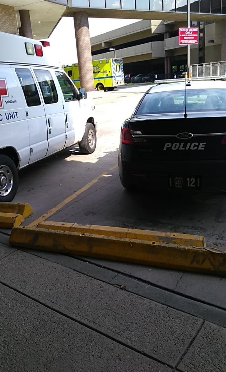 received_657284564634332.jpeg