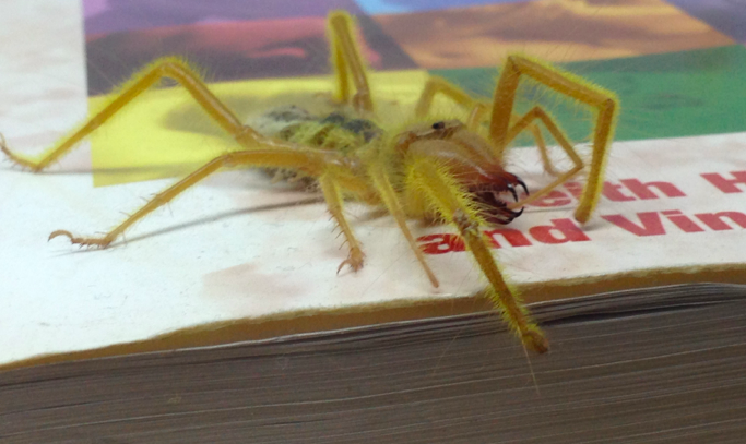 Screen Shot 2014-11-14 at 19.27.22.png