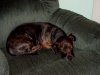 DSC04650a.JPG