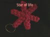 Star_of_life.jpg