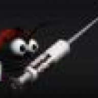 Ladybug