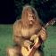 Sasquatch