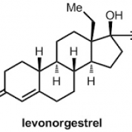 medicaltransient