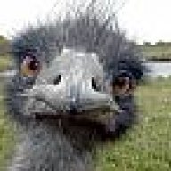 phunguy