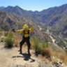 Wildland FF