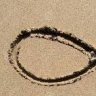 Ichthys