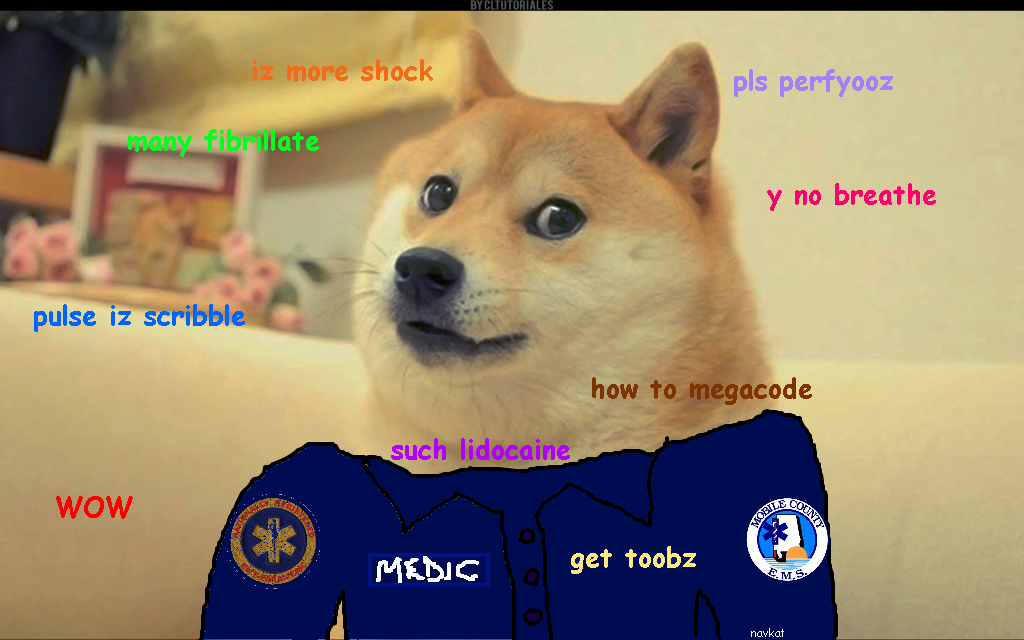 DogeEMSpdn_zps9ad345a5.png