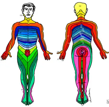dermatomes.jpg