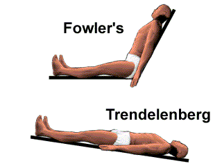 fowler.gif