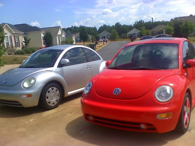 twobugs.jpg