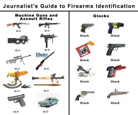 Guide2SM.jpg