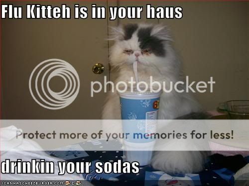 funny-pictures-sick-cat-drinks-soda.jpg