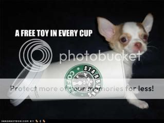 cute-puppy-pictures-free-toy.jpg