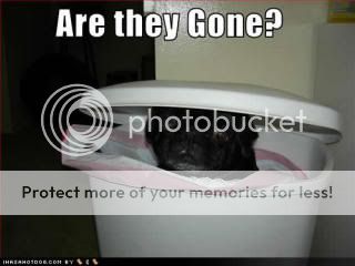 funny-dog-pictures-they-gone.jpg